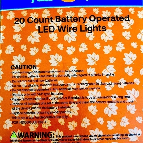 NEW Fall Battery Operated String Lights - Picture 2 of 2